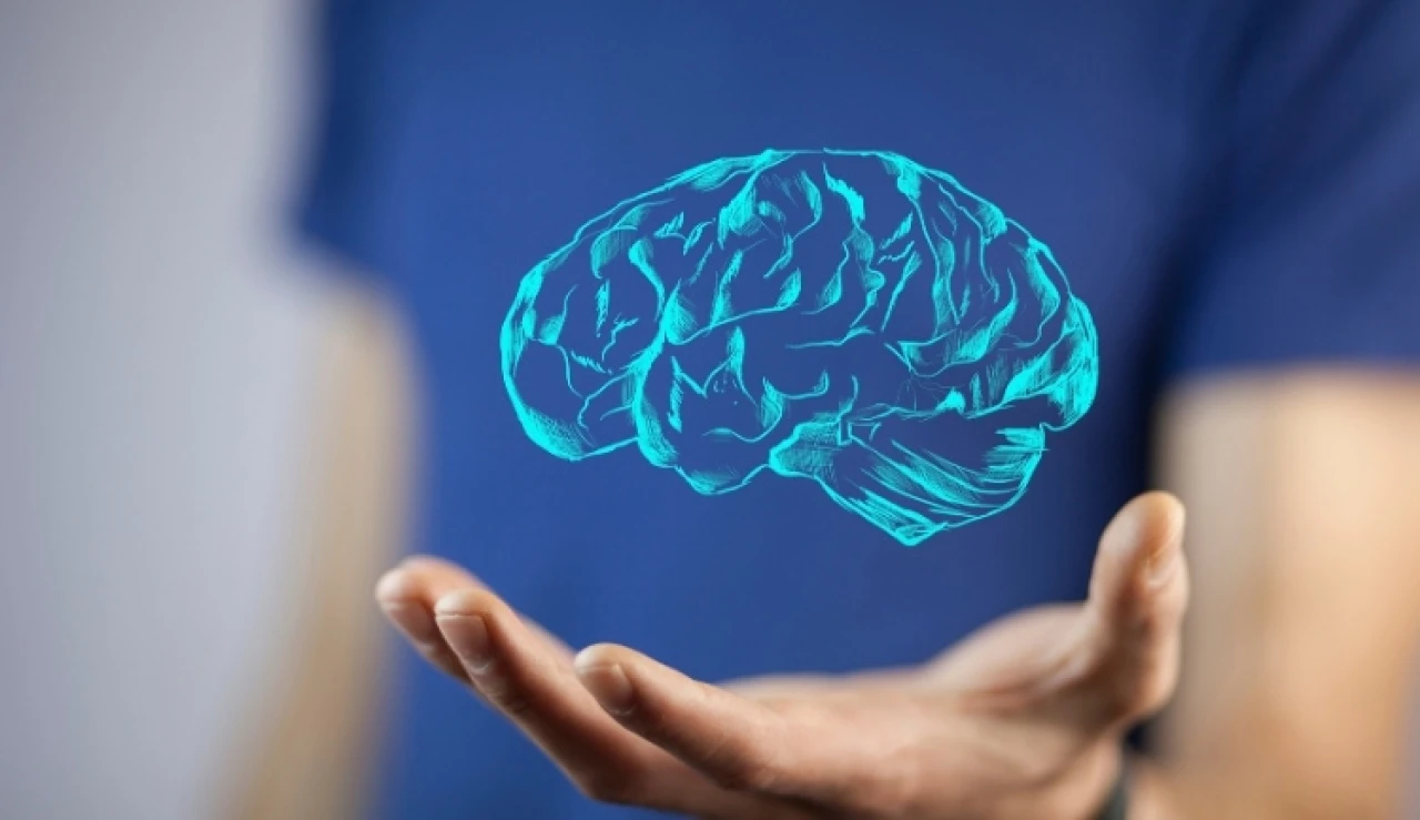 Nöropsikoloji Nedir? Çalışma Alanları Nelerdir?