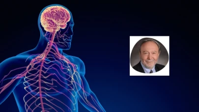 Polivagal Teori Nedir?