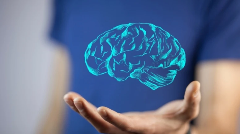 Nöropsikoloji Nedir? Çalışma Alanları Nelerdir?